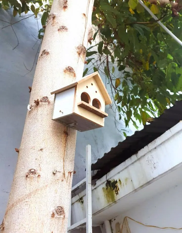 Seven Daddy Homestay Vung Tau