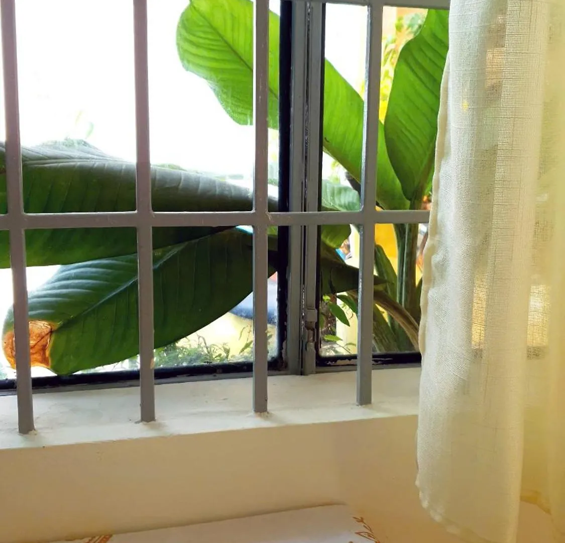 Seven Daddy Homestay Vung Tau Vietnam
