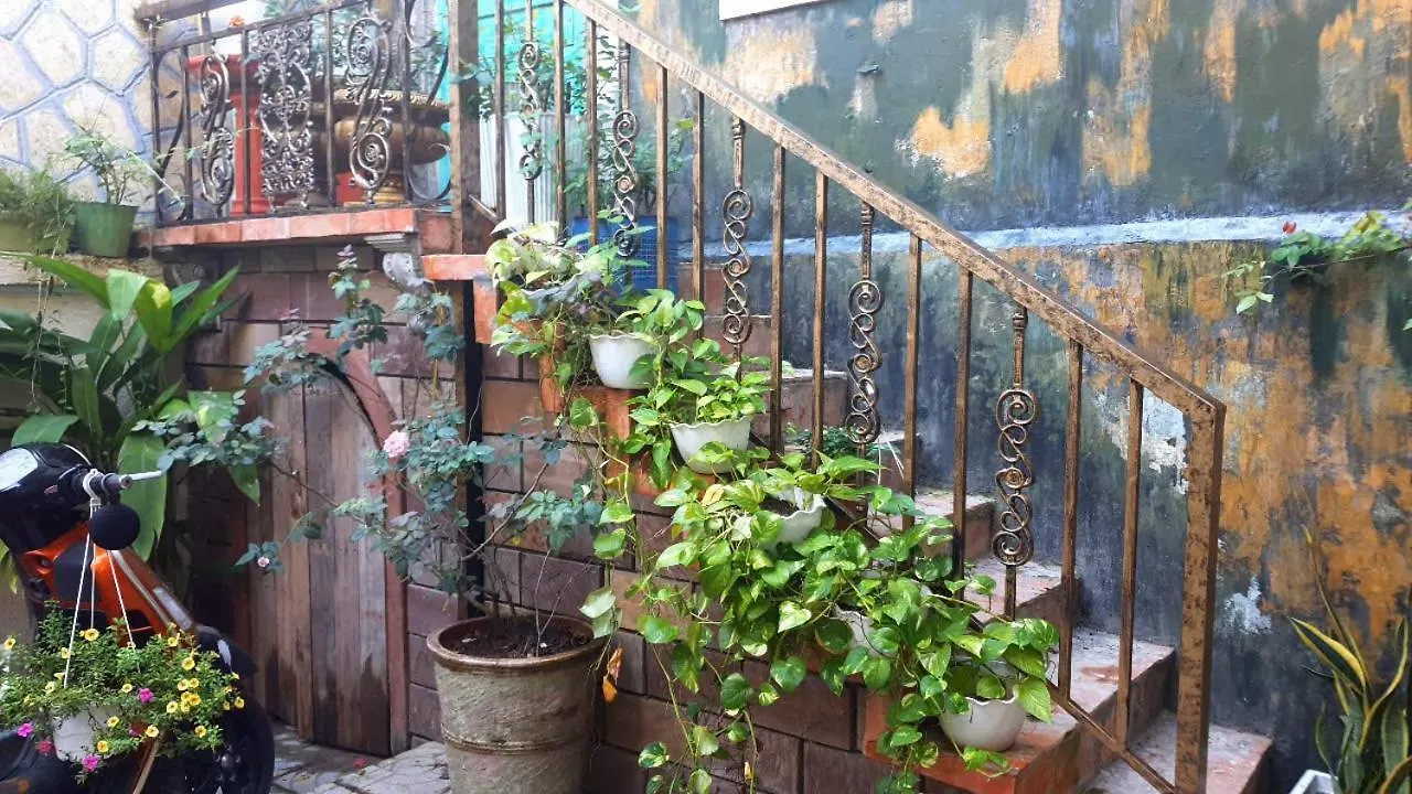 Seven Daddy Homestay Vung Tau