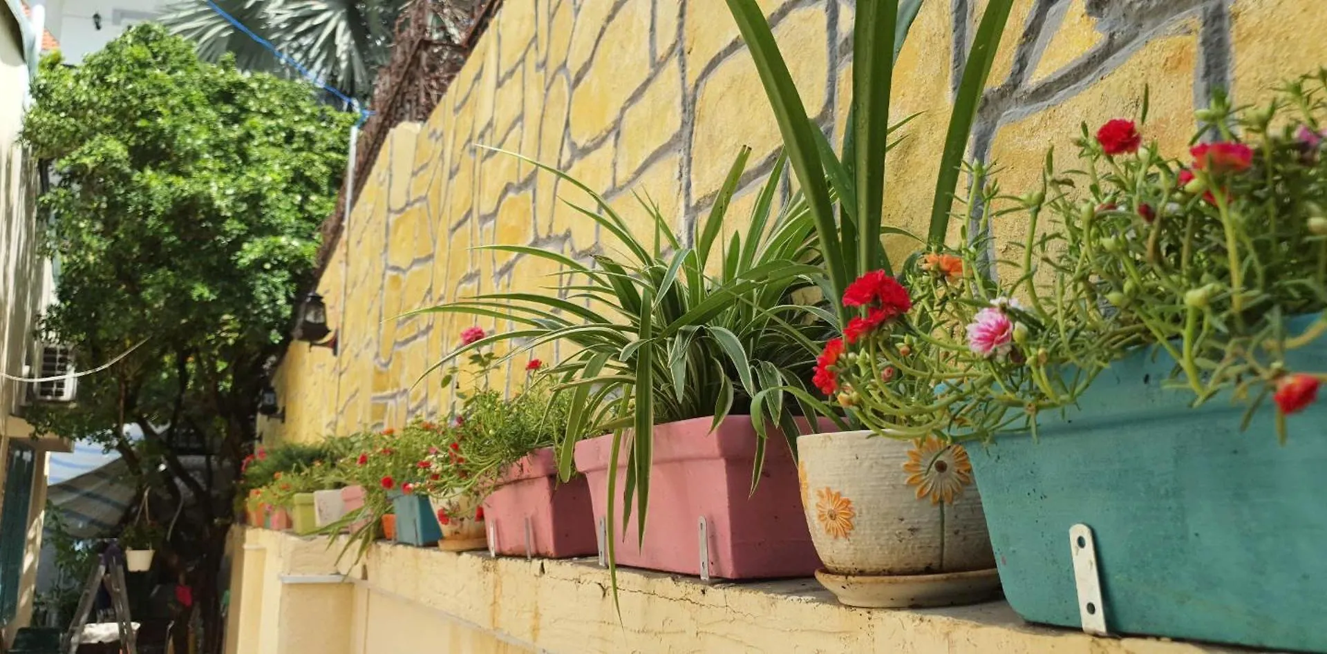 Seven Daddy Homestay Vung Tau 0*,  Vietnam