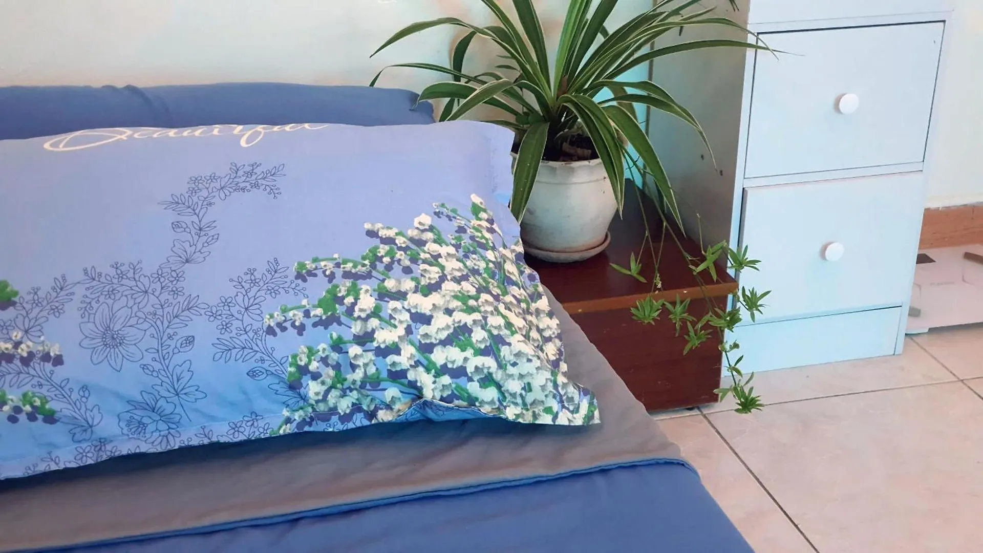 Apartment Seven Daddy Homestay Vung Tau