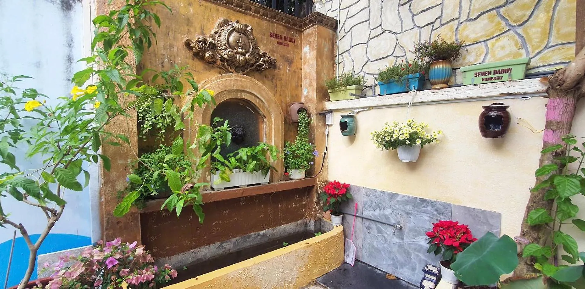 Apartment Seven Daddy Homestay Vung Tau
