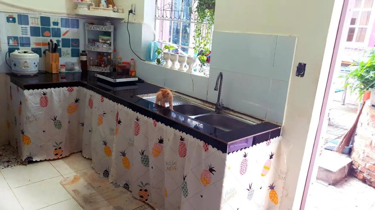 Apartment Seven Daddy Homestay Vung Tau