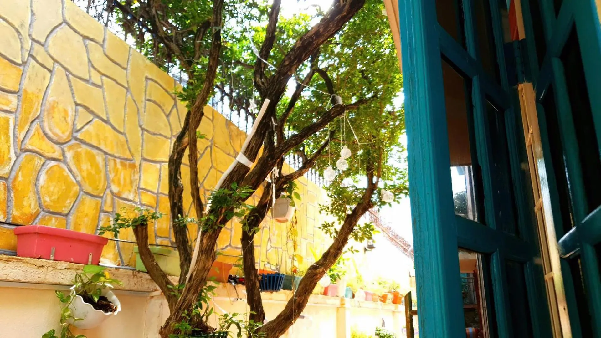 Seven Daddy Homestay Vung Tau 0*,  Vietnam