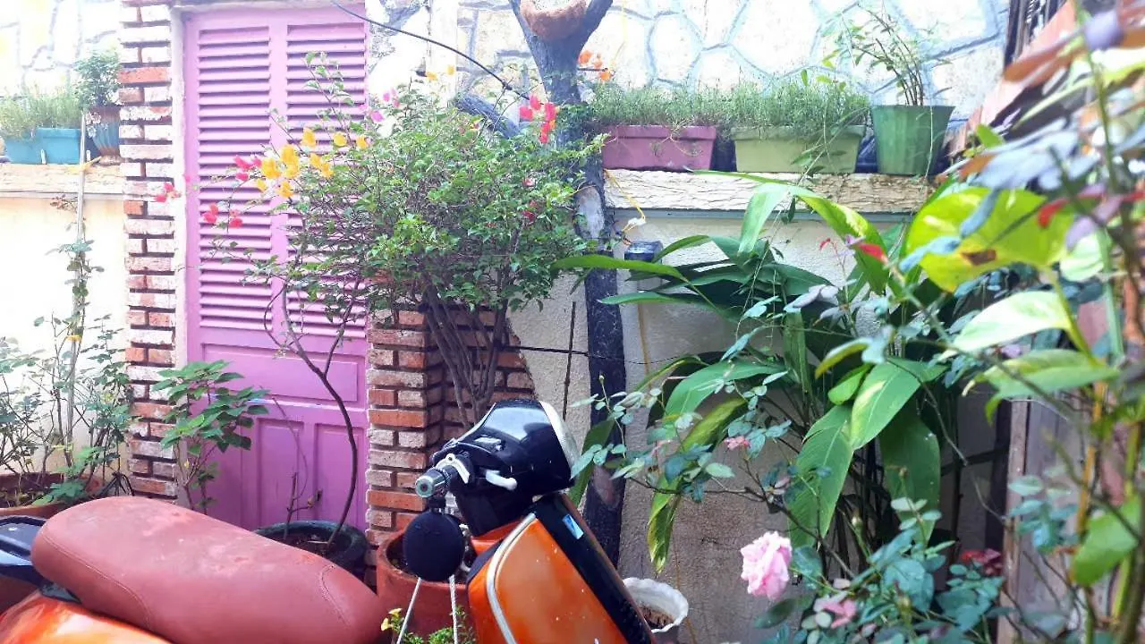 Apartment Seven Daddy Homestay Vung Tau