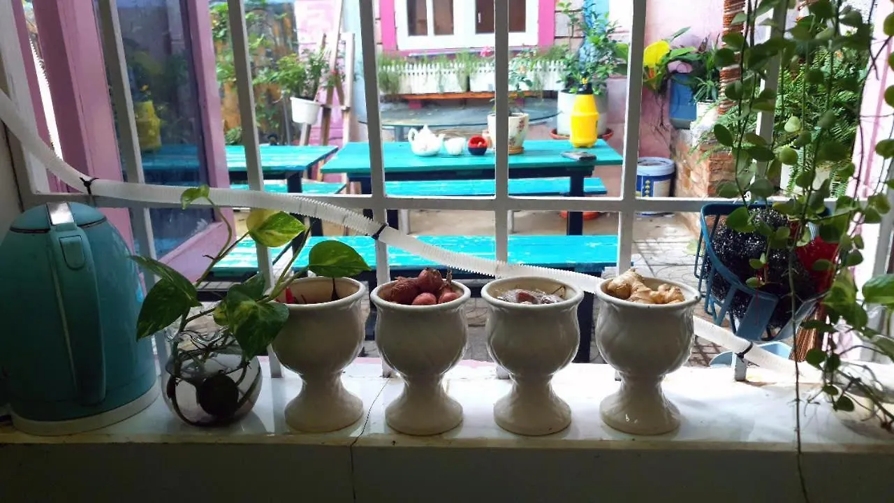 Seven Daddy Homestay 붕타우 아파트